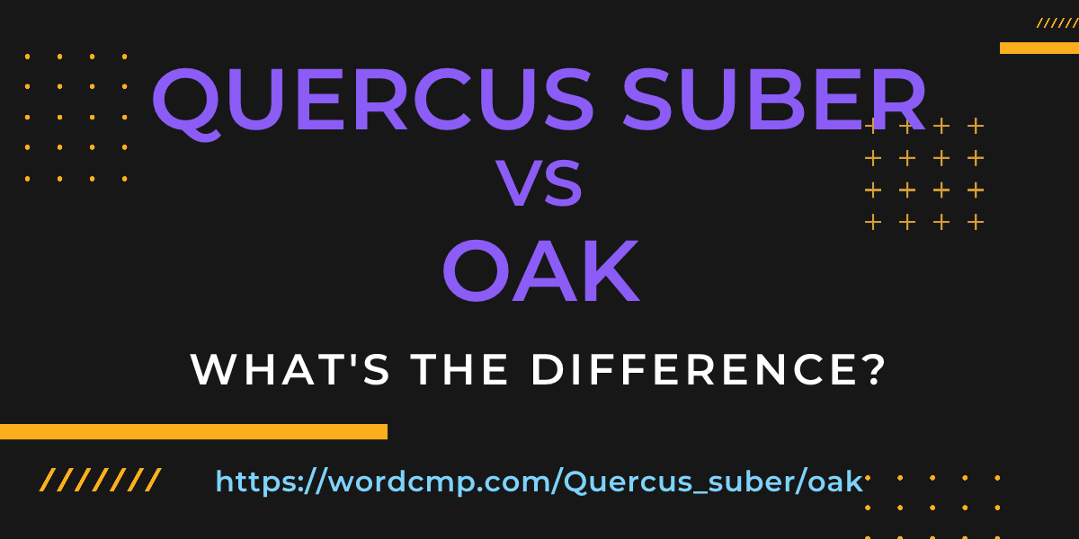 Difference between Quercus suber and oak