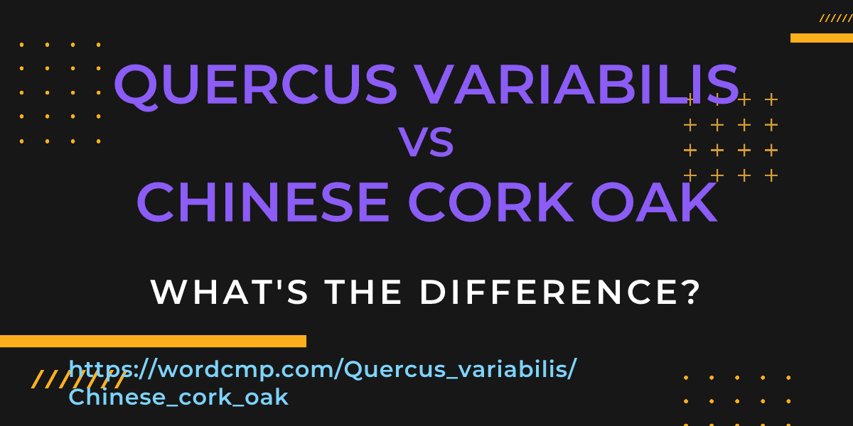 Difference between Quercus variabilis and Chinese cork oak