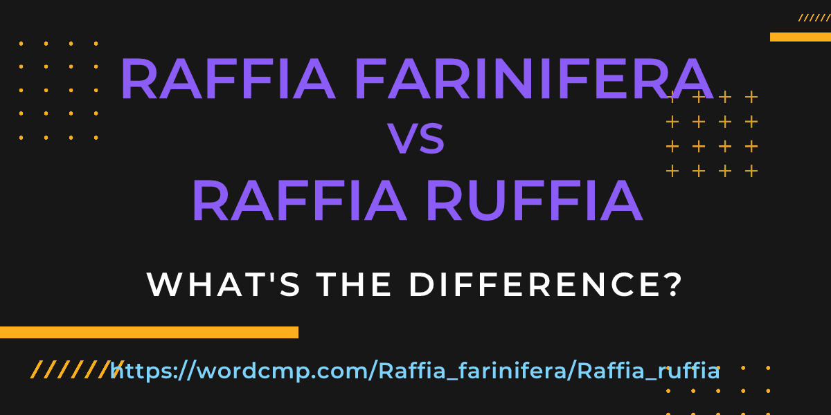 Difference between Raffia farinifera and Raffia ruffia