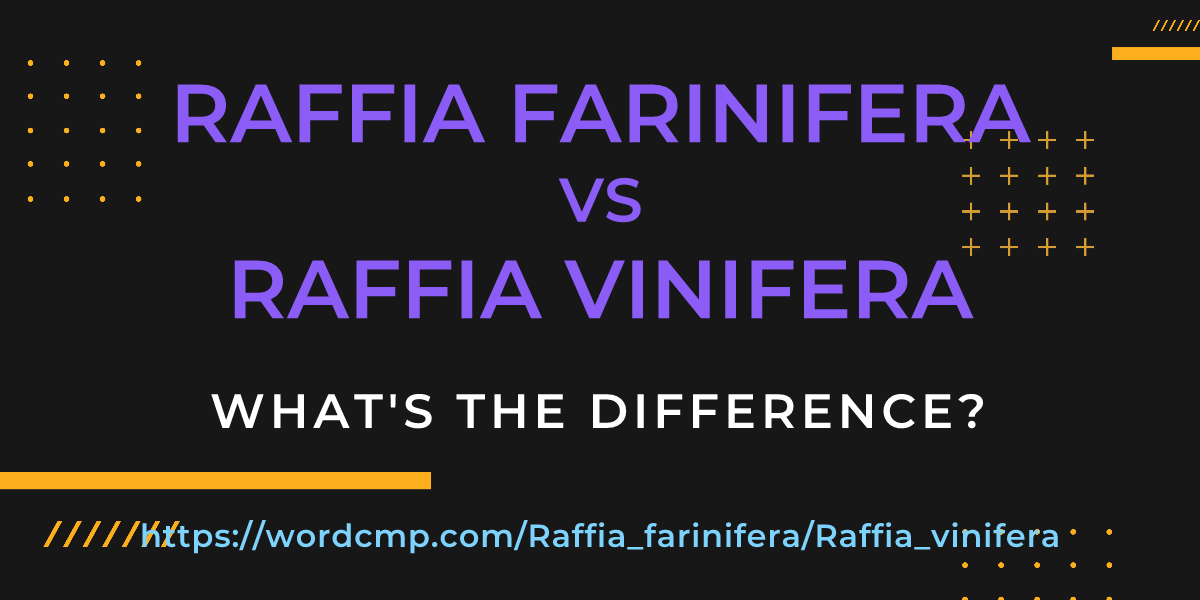 Difference between Raffia farinifera and Raffia vinifera