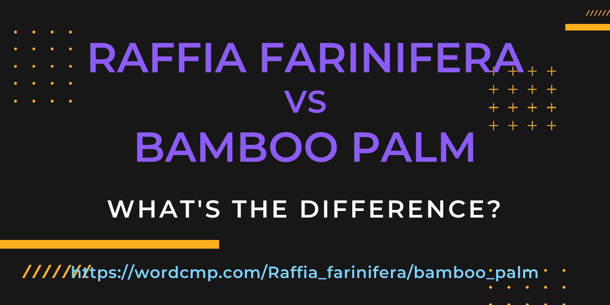 Difference between Raffia farinifera and bamboo palm
