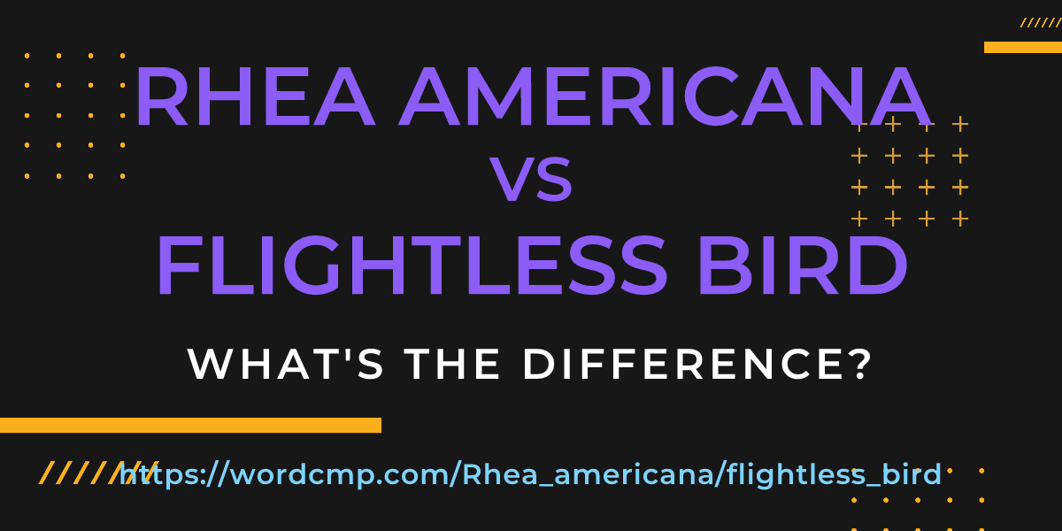 Difference between Rhea americana and flightless bird