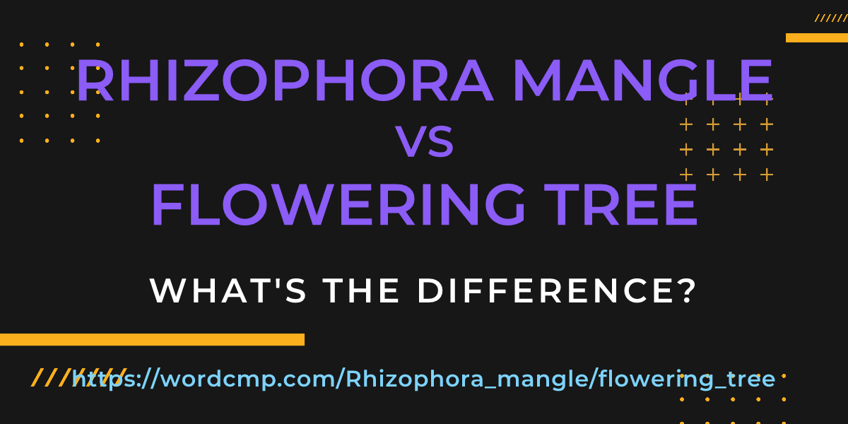 Difference between Rhizophora mangle and flowering tree