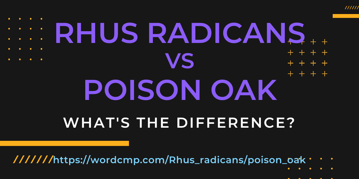 Difference between Rhus radicans and poison oak