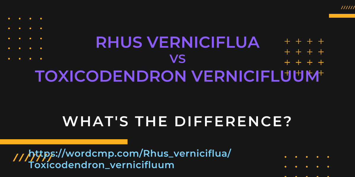 Difference between Rhus verniciflua and Toxicodendron vernicifluum