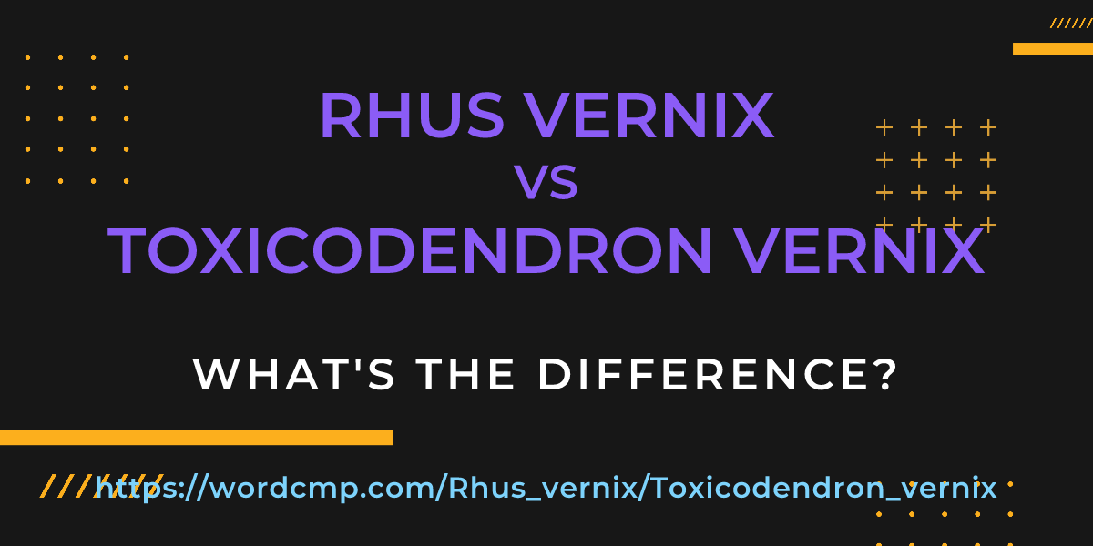 Difference between Rhus vernix and Toxicodendron vernix
