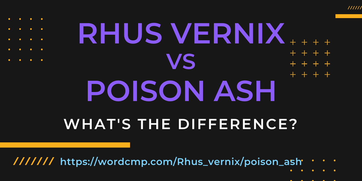 Difference between Rhus vernix and poison ash