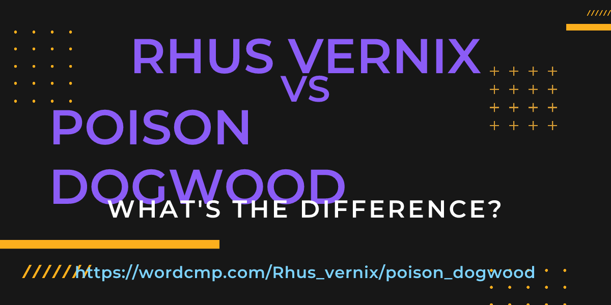 Difference between Rhus vernix and poison dogwood