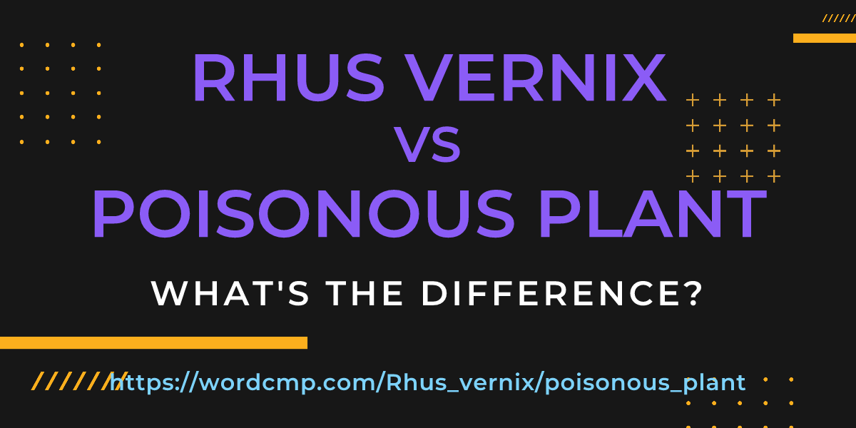 Difference between Rhus vernix and poisonous plant