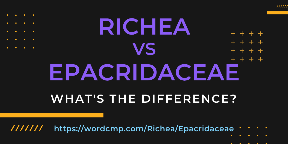 Difference between Richea and Epacridaceae