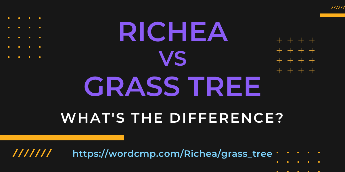 Difference between Richea and grass tree