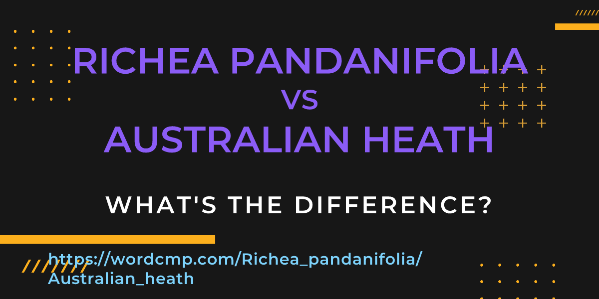 Difference between Richea pandanifolia and Australian heath