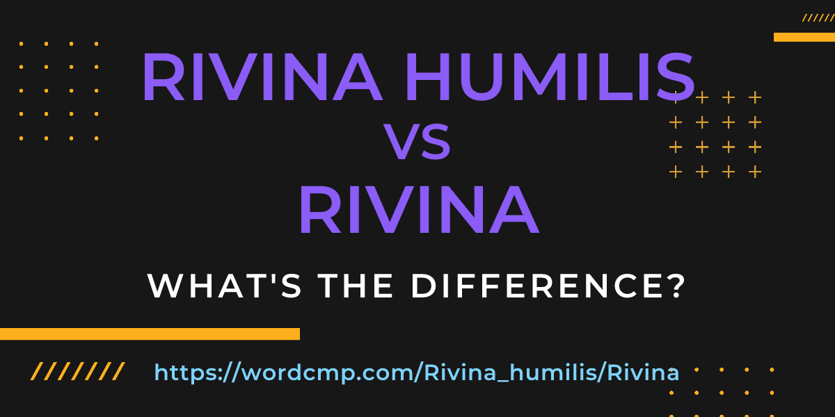 Difference between Rivina humilis and Rivina