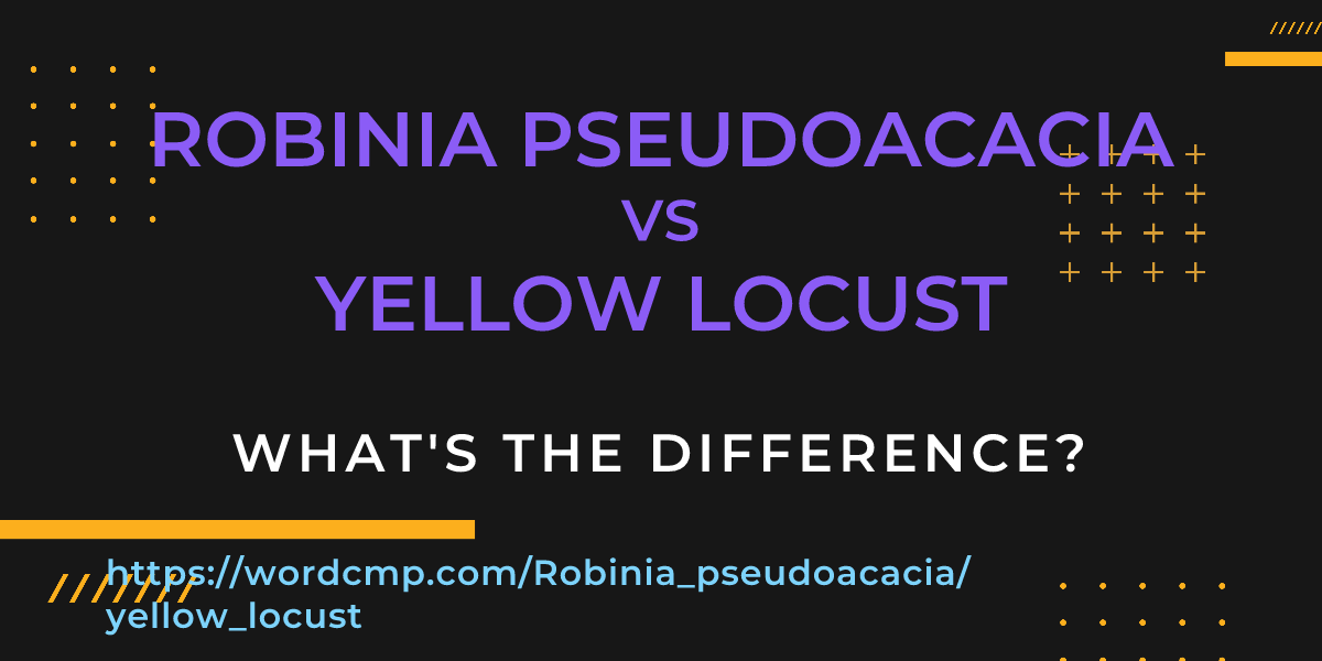 Difference between Robinia pseudoacacia and yellow locust