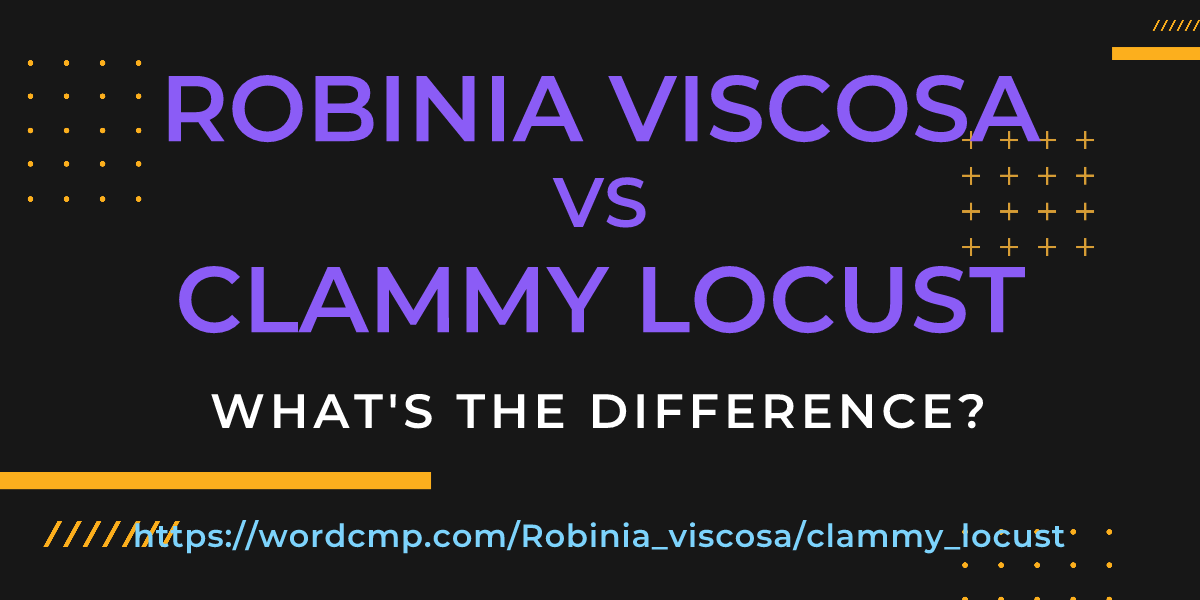 Difference between Robinia viscosa and clammy locust
