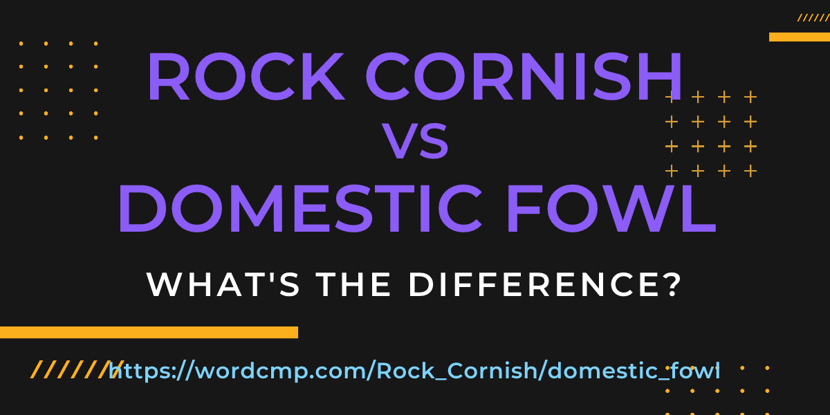 Difference between Rock Cornish and domestic fowl