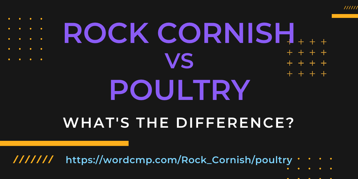 Difference between Rock Cornish and poultry