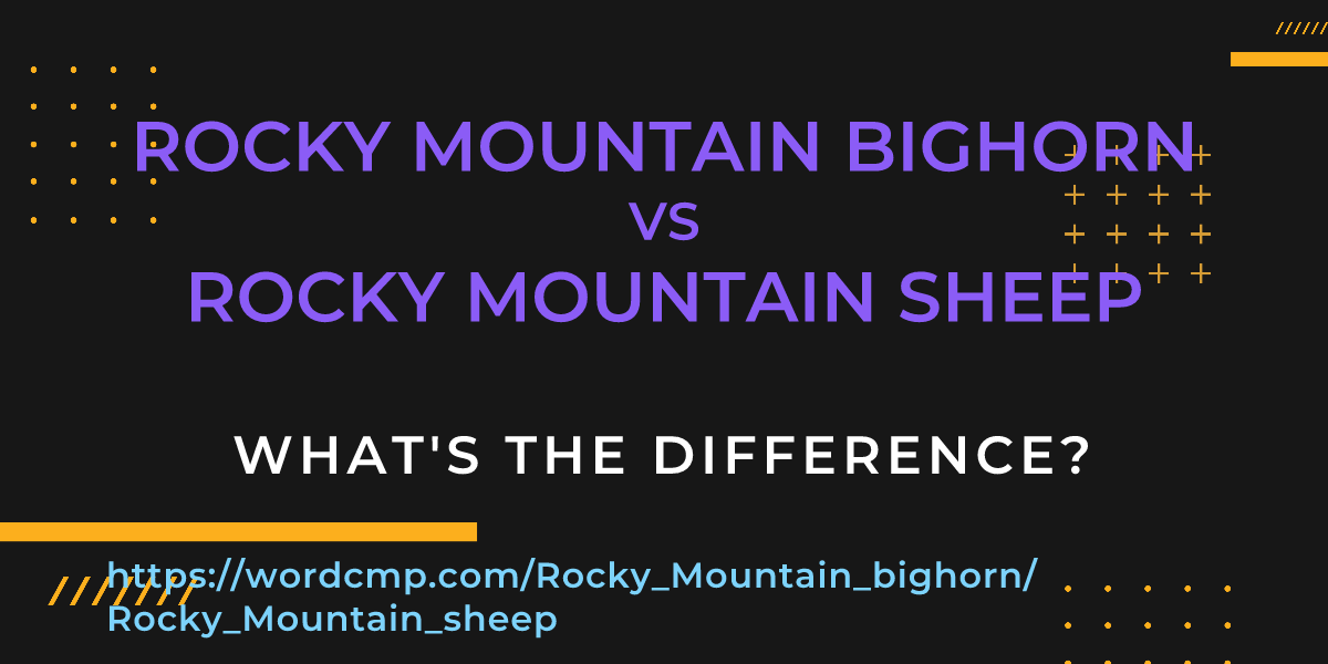 Difference between Rocky Mountain bighorn and Rocky Mountain sheep