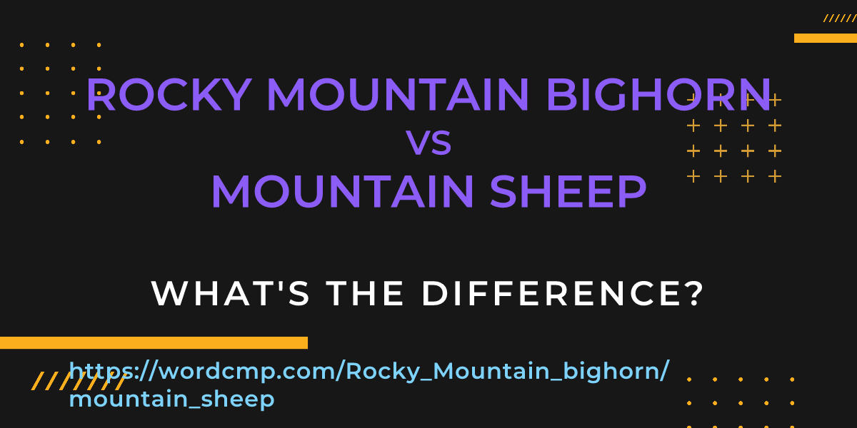 Difference between Rocky Mountain bighorn and mountain sheep