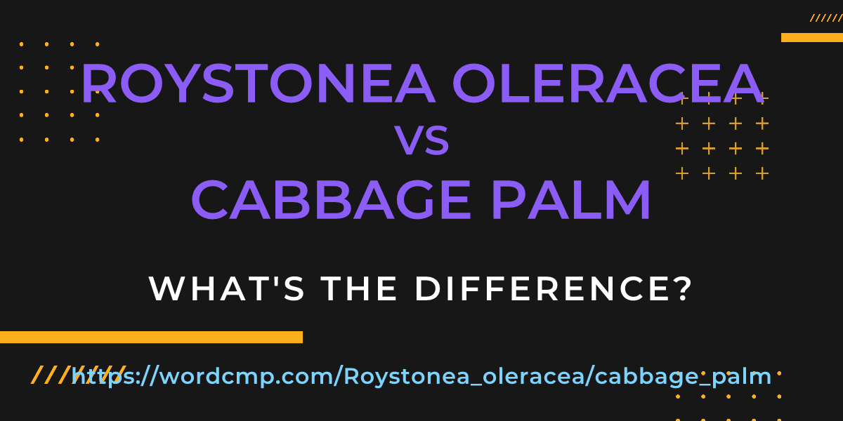 Difference between Roystonea oleracea and cabbage palm