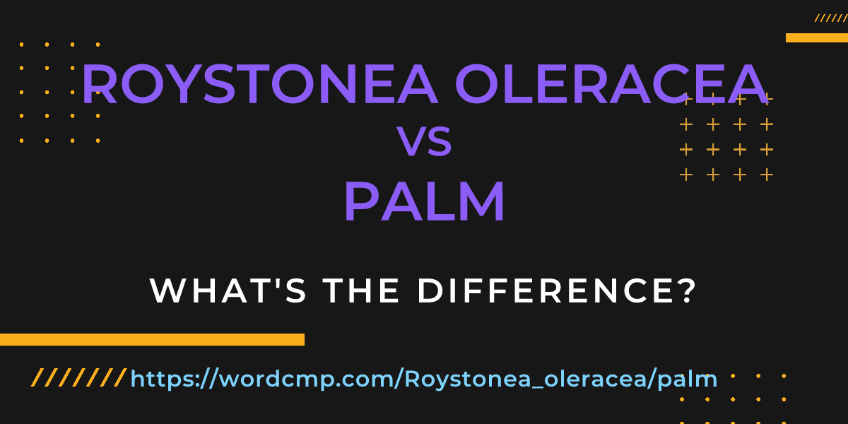 Difference between Roystonea oleracea and palm