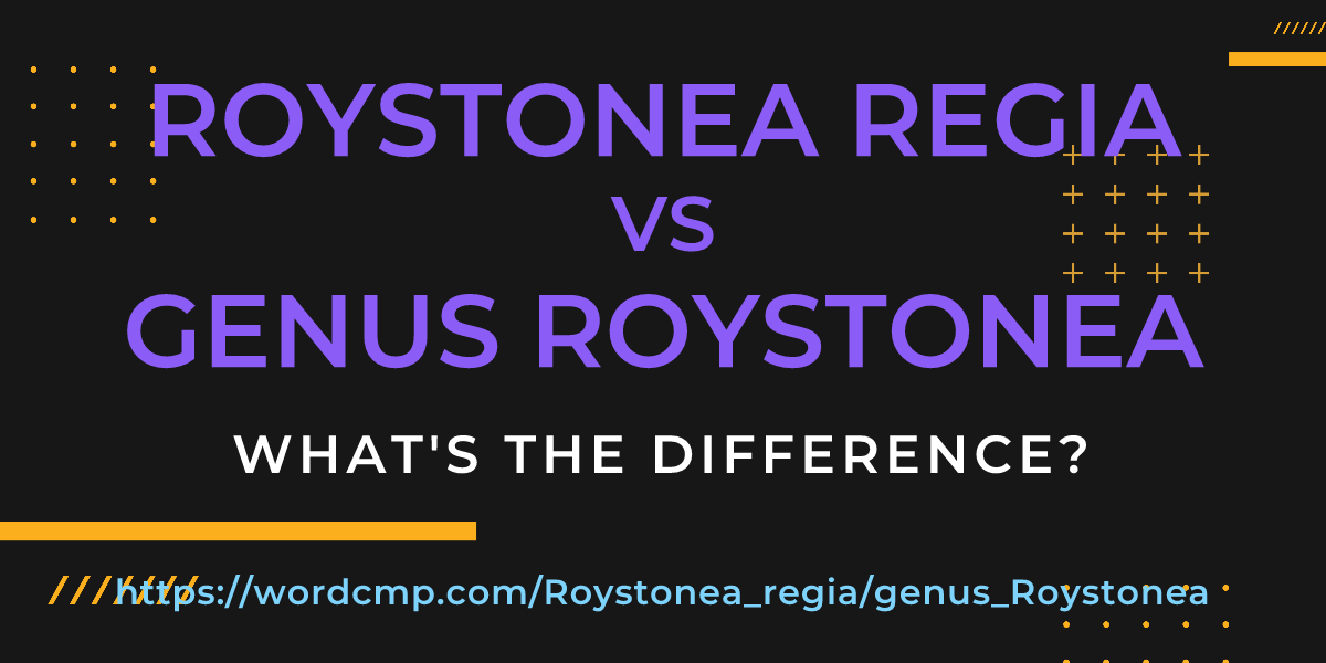 Difference between Roystonea regia and genus Roystonea