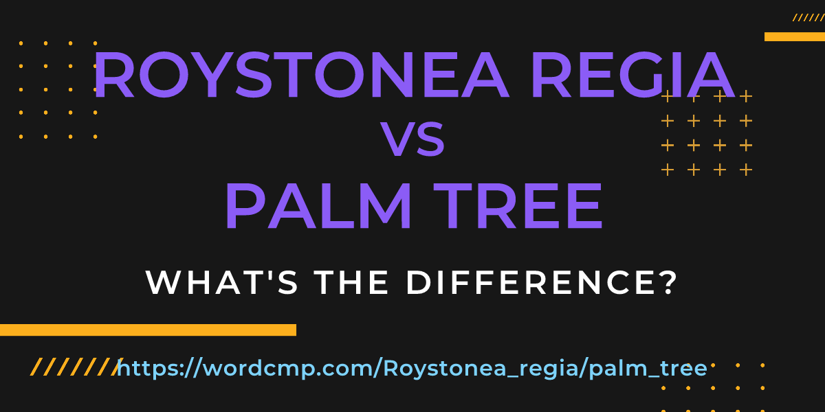 Difference between Roystonea regia and palm tree