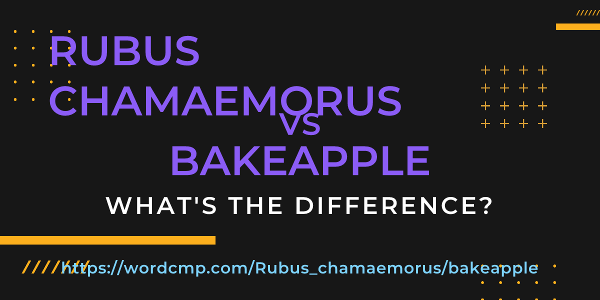 Difference between Rubus chamaemorus and bakeapple