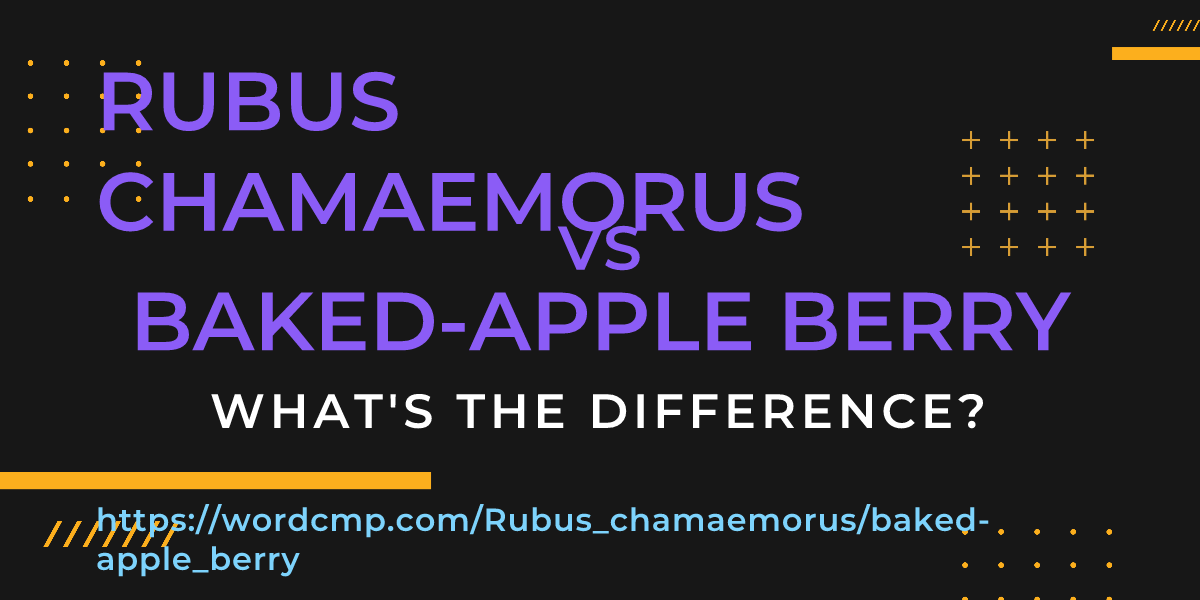 Difference between Rubus chamaemorus and baked-apple berry