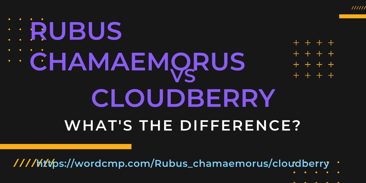 Difference between Rubus chamaemorus and cloudberry