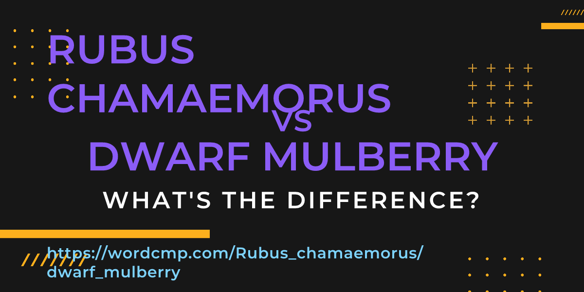 Difference between Rubus chamaemorus and dwarf mulberry