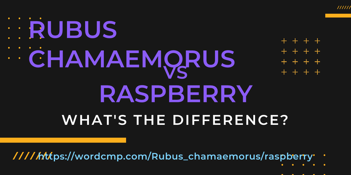 Difference between Rubus chamaemorus and raspberry