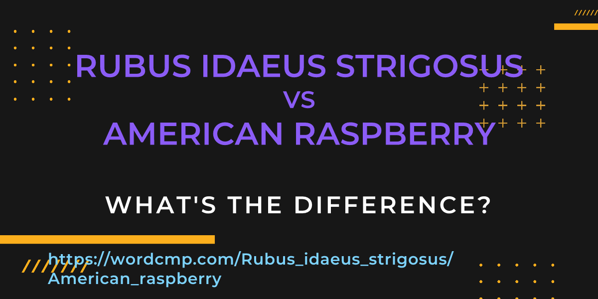 Difference between Rubus idaeus strigosus and American raspberry