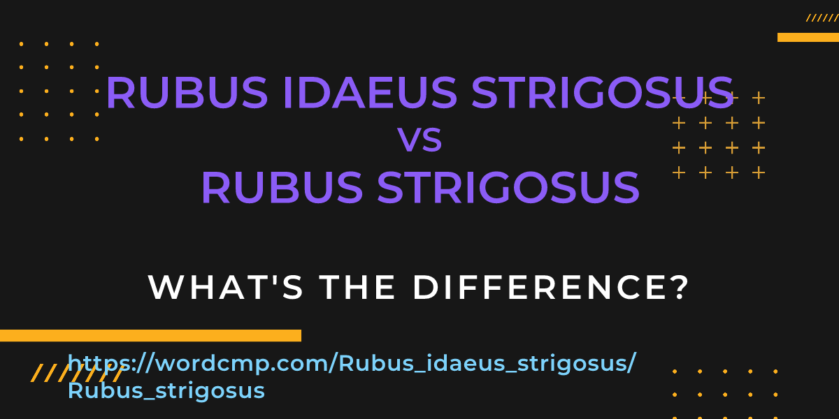 Difference between Rubus idaeus strigosus and Rubus strigosus