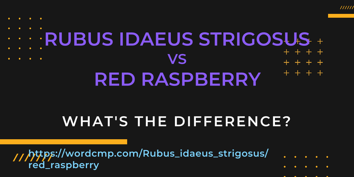 Difference between Rubus idaeus strigosus and red raspberry