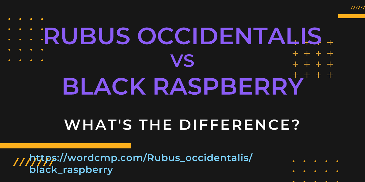 Difference between Rubus occidentalis and black raspberry