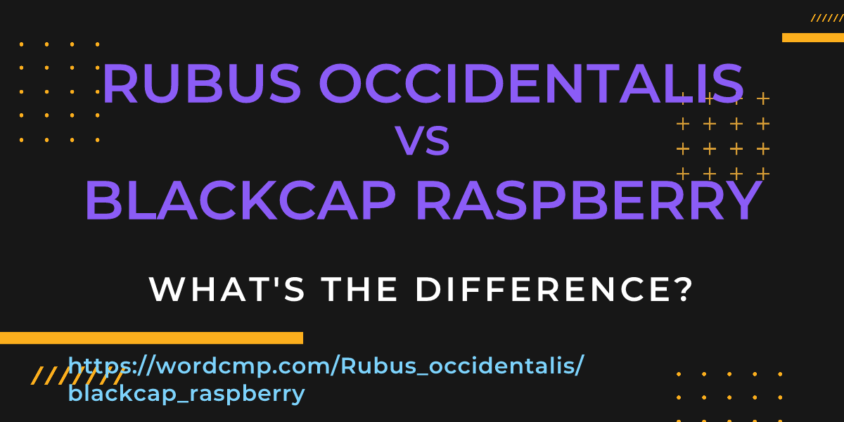 Difference between Rubus occidentalis and blackcap raspberry