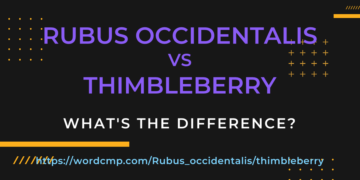 Difference between Rubus occidentalis and thimbleberry