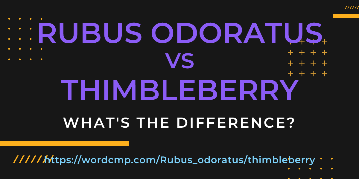 Difference between Rubus odoratus and thimbleberry