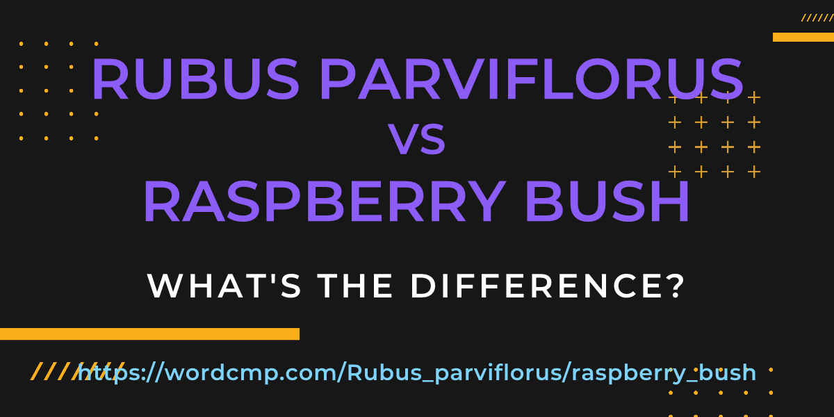Difference between Rubus parviflorus and raspberry bush
