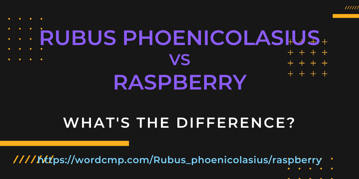 Difference between Rubus phoenicolasius and raspberry
