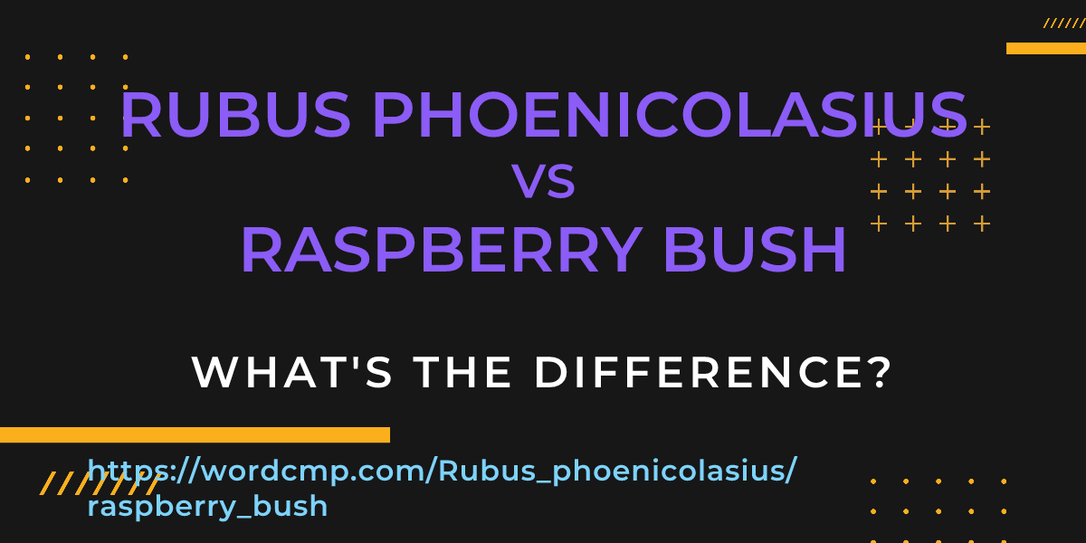 Difference between Rubus phoenicolasius and raspberry bush