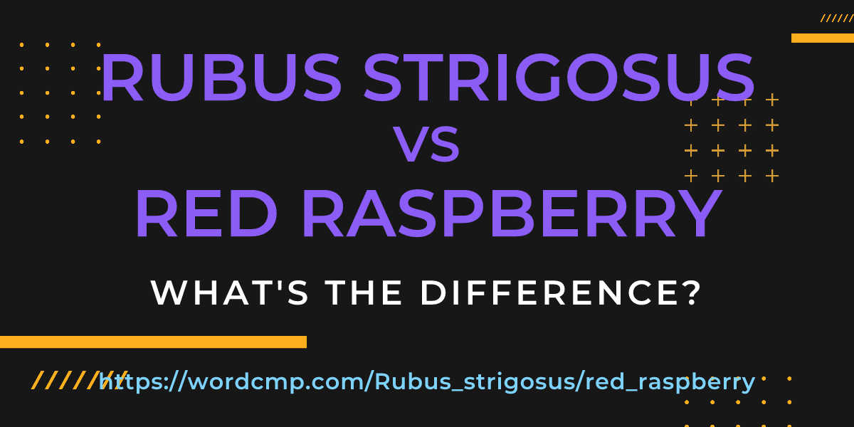Difference between Rubus strigosus and red raspberry
