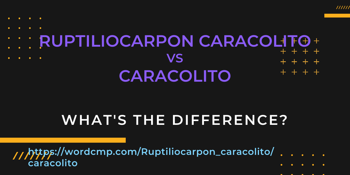 Difference between Ruptiliocarpon caracolito and caracolito