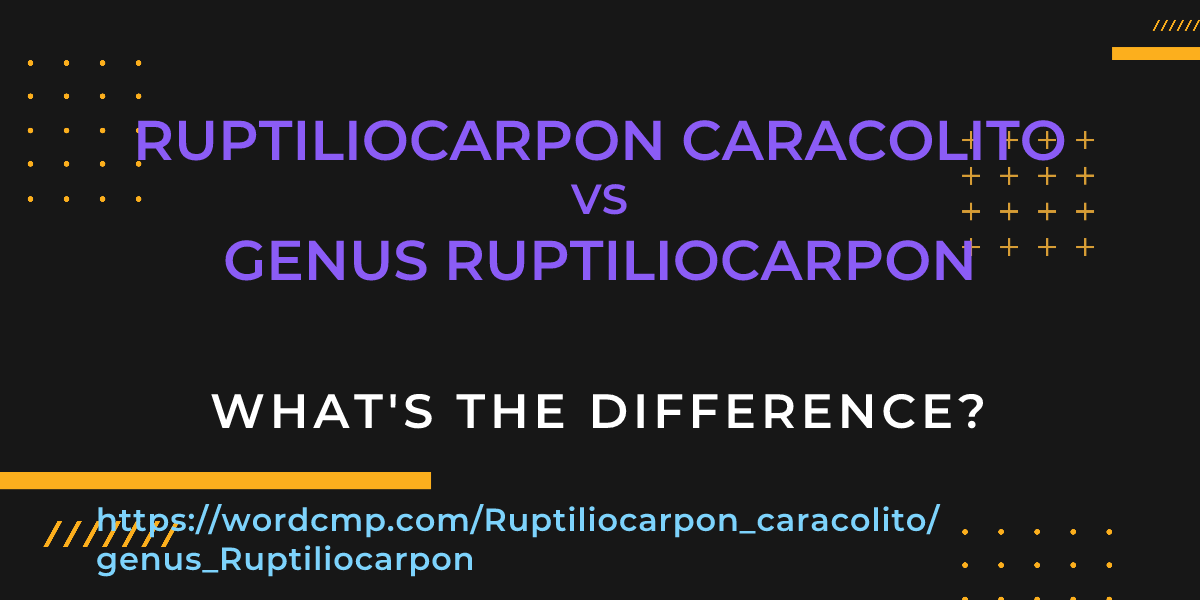 Difference between Ruptiliocarpon caracolito and genus Ruptiliocarpon