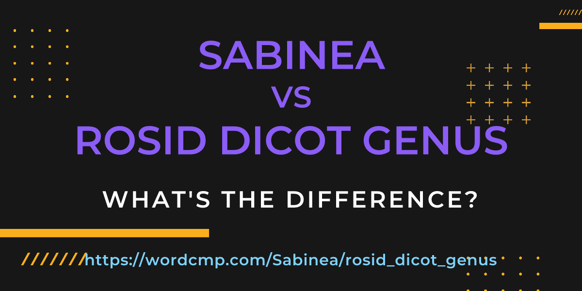 Difference between Sabinea and rosid dicot genus