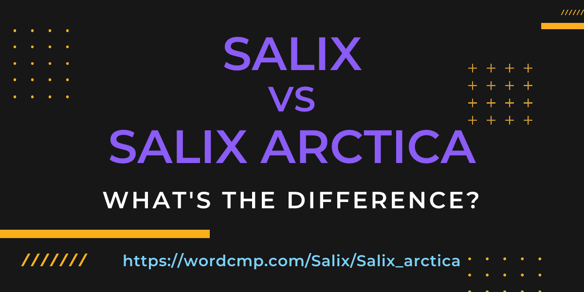 Difference between Salix and Salix arctica