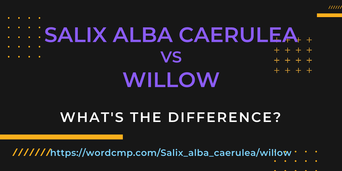 Difference between Salix alba caerulea and willow