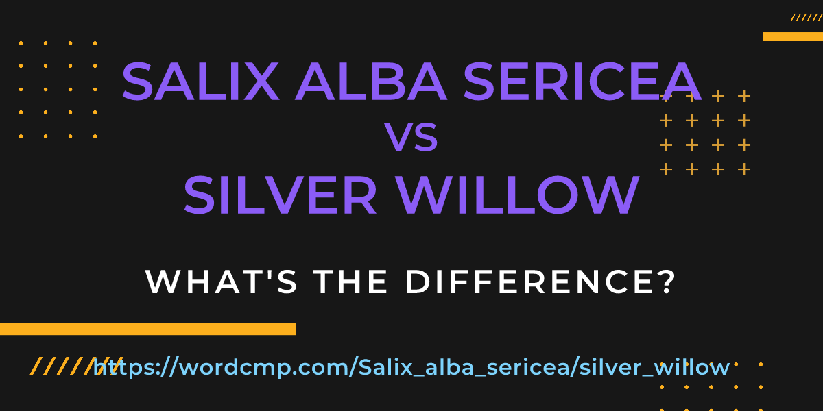 Difference between Salix alba sericea and silver willow