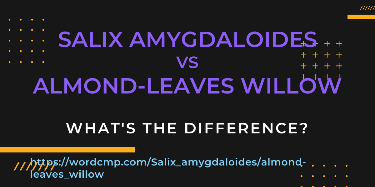 Difference between Salix amygdaloides and almond-leaves willow